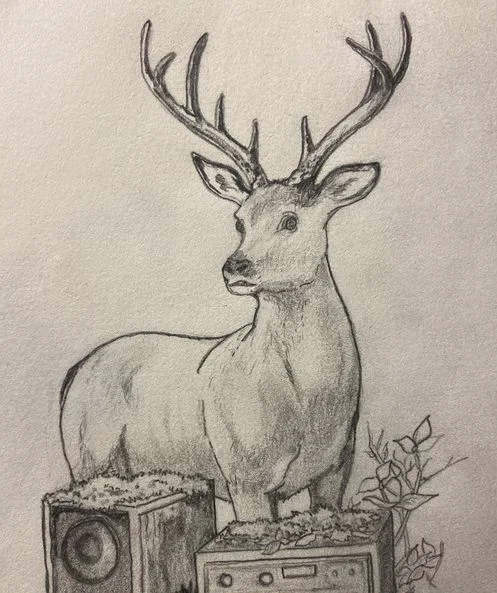 Pencil sketch of an antlered buck standing over moss-covered speakers
