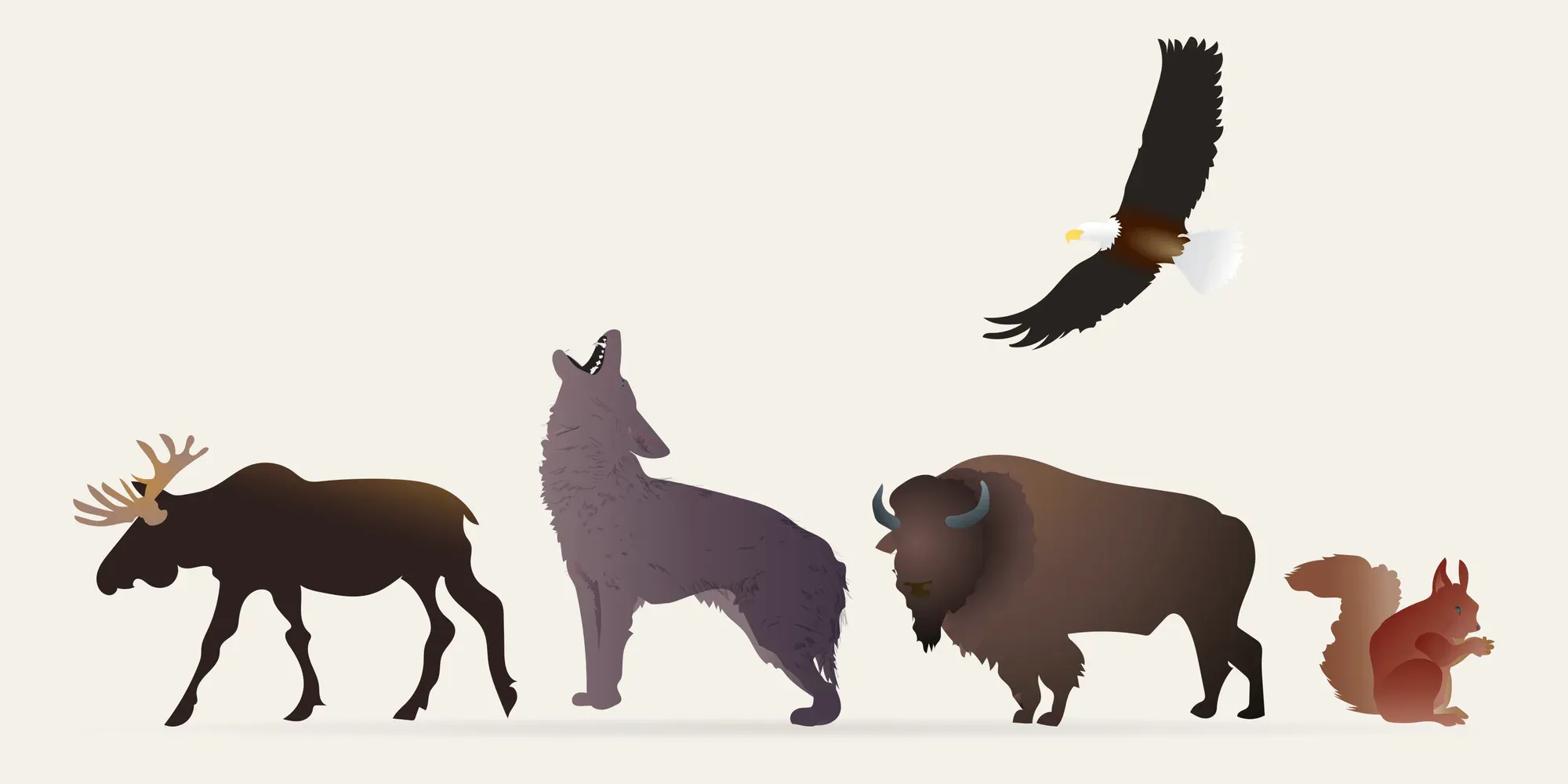 Vector illustrations of a moose, a howling wolf, a bison, a red squirrel and a bald eagle in flight