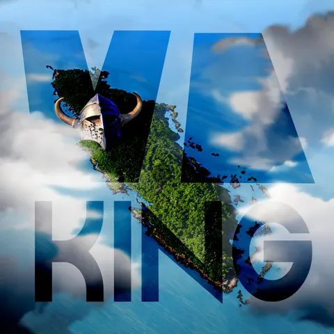 Vi King cover art